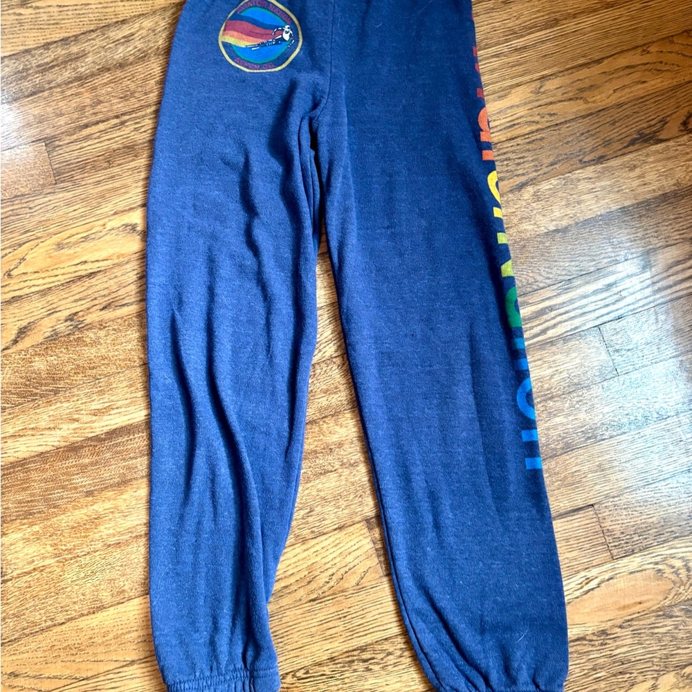 Teen girls size 14 Aviator Nation joggers. Never worn no tags.